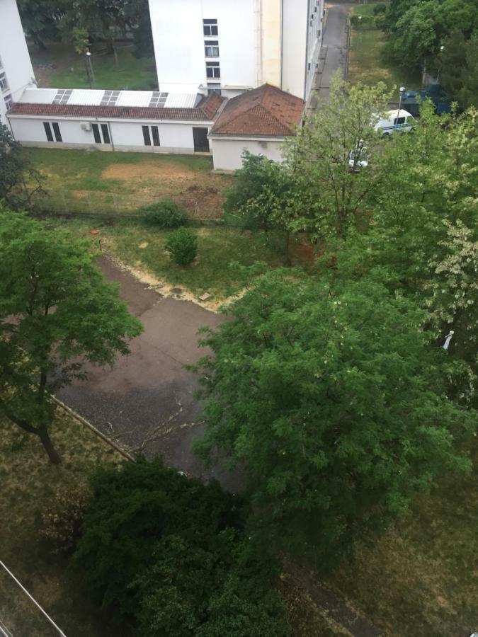 Apartment Apartman Stipe